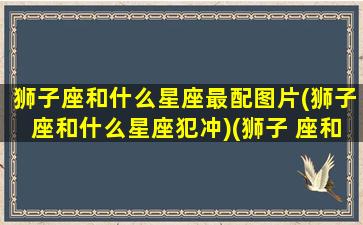 狮子座和什么星座最配图片(狮子座和什么星座犯冲)(狮子 座和什么星座最配)